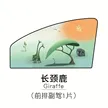 缩略图 9