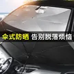 缩略图 2