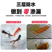 缩略图 3