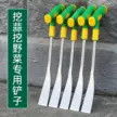 缩略图 2
