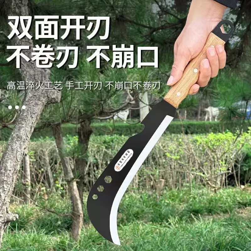 主图 1