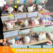 缩略图 4
