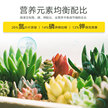 史丹利缓释肥家用氮磷钾长效花肥料养花多肉盆栽花卉通用型复合肥缩略图 3
