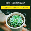 史丹利缓释肥家用氮磷钾长效花肥料养花多肉盆栽花卉通用型复合肥缩略图 4
