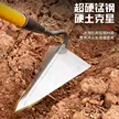 缩略图 5