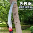 缩略图 5