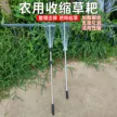 缩略图 6