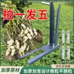 缩略图 1