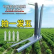 缩略图 3