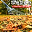 缩略图 2