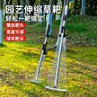 缩略图 4