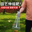 缩略图 5