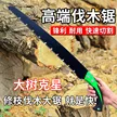 缩略图 5