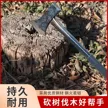 缩略图 3