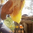 沂蒙山土蜂蜜深山放蜂天然成熟原蜜缩略图 3