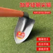 缩略图 5