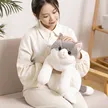 缩略图 5