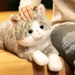 缩略图 3