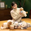 缩略图 1