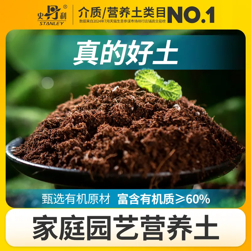 主图 1