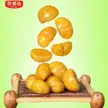 缩略图 5