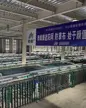 缩略图 5
