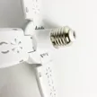 缩略图 4