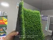 缩略图 2