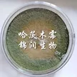 缩略图 3