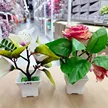 缩略图 2