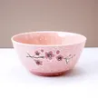 缩略图 1