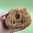 缩略图 2