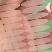 缩略图 2