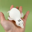 缩略图 2