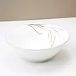 缩略图 4