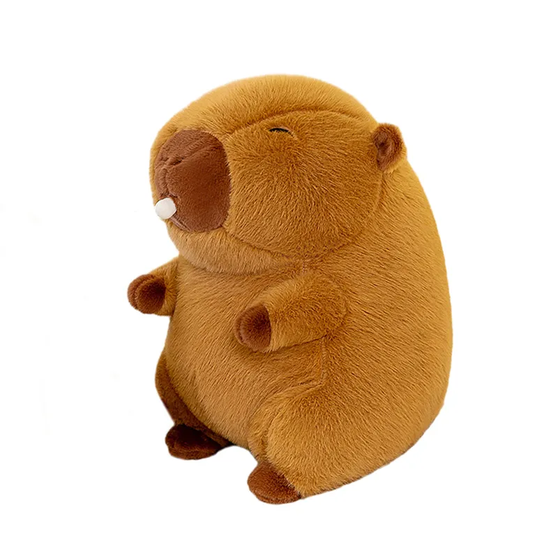主图 1