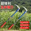缩略图 5