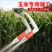 缩略图 3