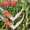 缩略图 2