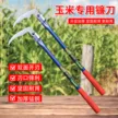 缩略图 2