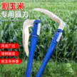 缩略图 6