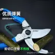 缩略图 3