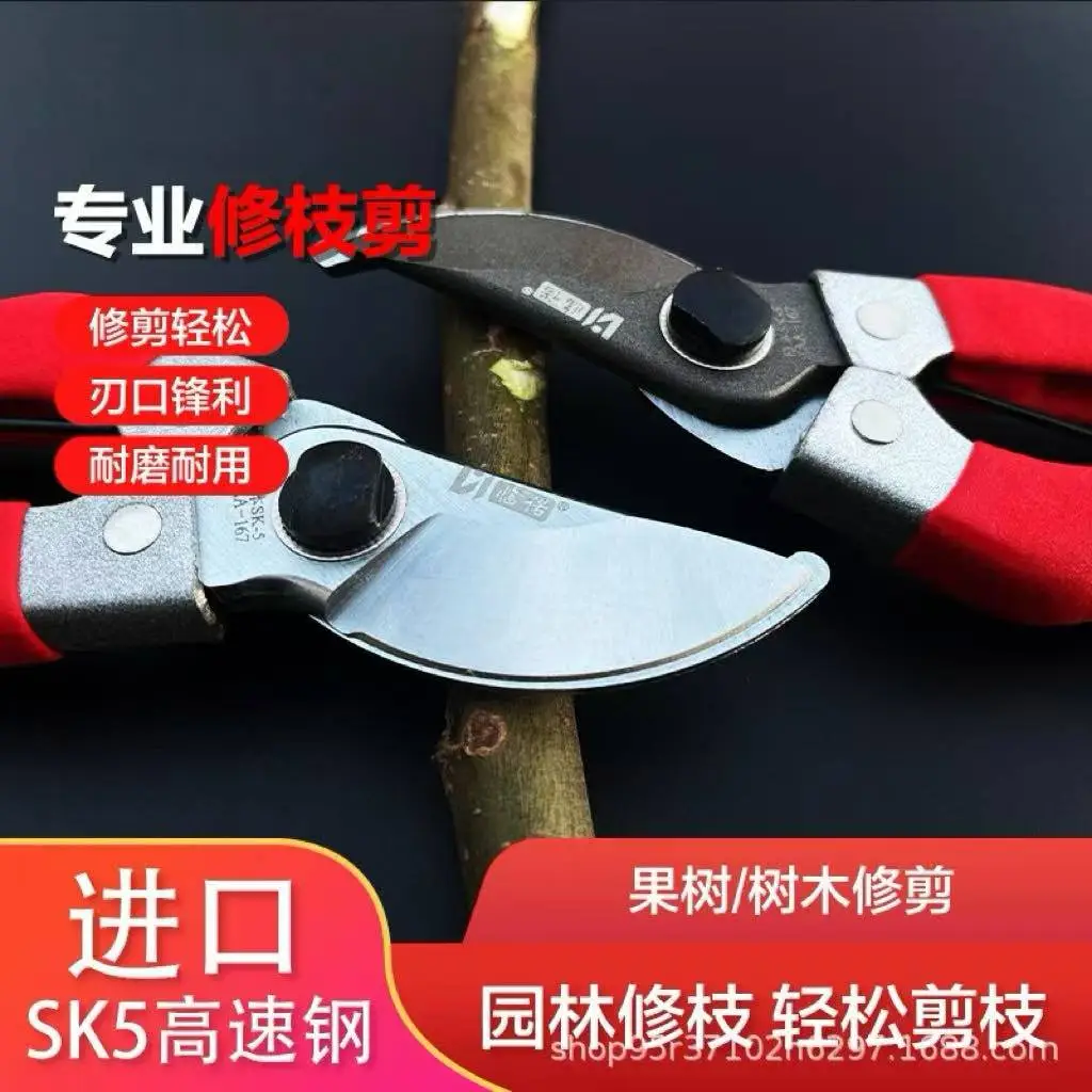 主图 1