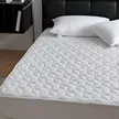 缩略图 3