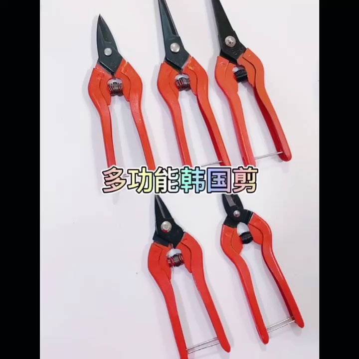 缩略图 1