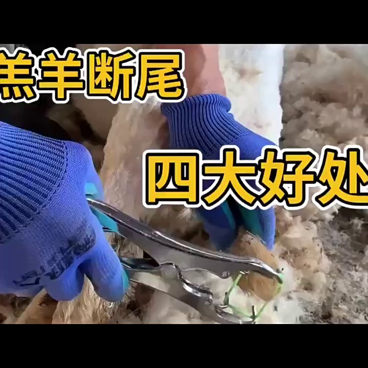 缩略图 1