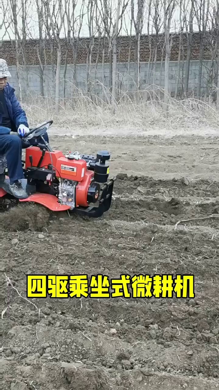 缩略图 1