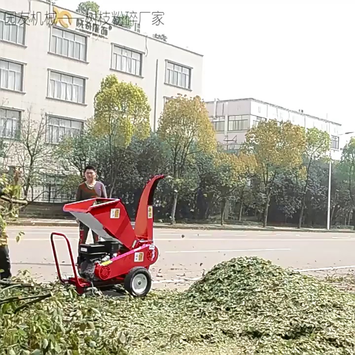 缩略图 1