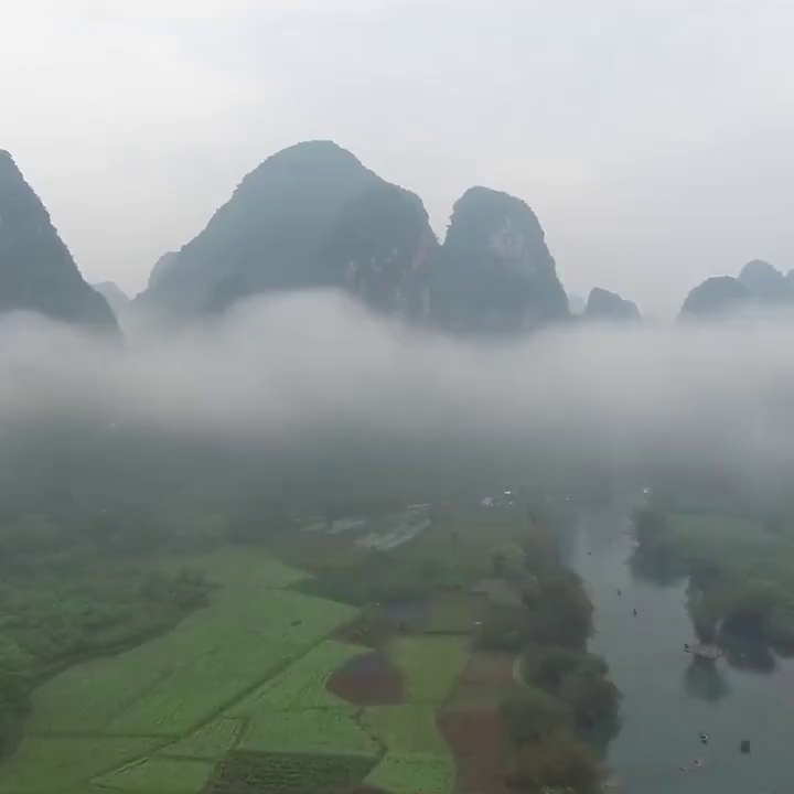 缩略图 1
