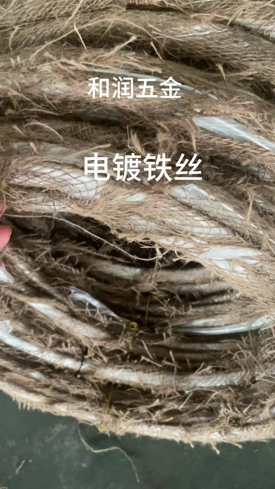 缩略图 1